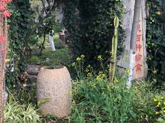 -映月潭温泉