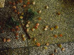 -知物癖(牛王庙店)