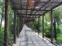-处女泉风景名胜区