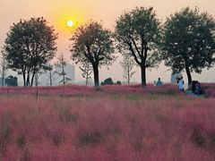 -汉长安城未央宫国家考古遗址公园