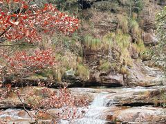 -庐山碧龙潭风景区