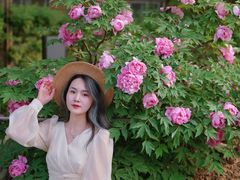 -北京植物园南门售票处