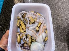 -蓝珊甄选海鲜自助·火锅大排档(近阿那亚店)