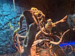 -未来动物城动物主题公园(大悦城店)