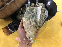 -蚝专家(北滘店)