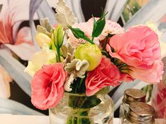 美人鱼芝士-随心小姐