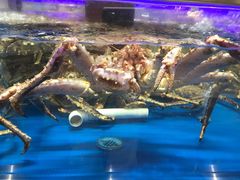 -盒马鲜生(龙德广场店)