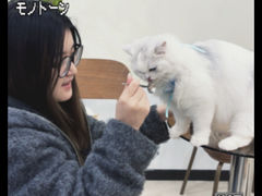 -共舞时光猫咖·狗咖(新街口店)