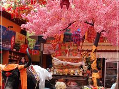 -吉祥圣雪藏餐