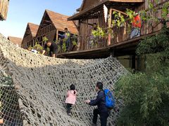 -北京呀路古热带植物园