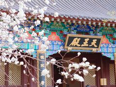 -护国法轮寺