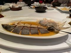 陈年花雕蒸鲥鱼-福1088