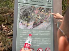 -梧桐山风景名胜区