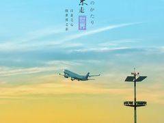 -谢列梅捷沃国际机场