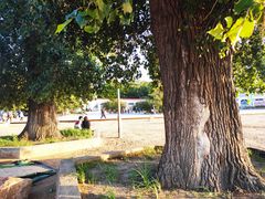 -长春市南湖公园