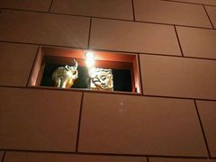 -克比叔叔印度餐厅Kebabs on the Grille(永康路分店)