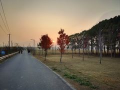 -嘉北郊野公园