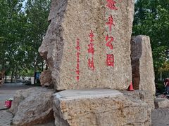 -泰丰公园
