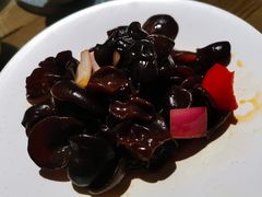 凉拌东北木耳-北方家宴(番禺永旺店)