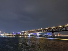 -武汉两江游览·夜游长江(汉口粤汉码头)