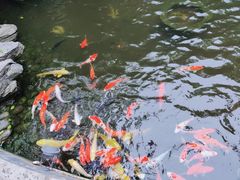 -威远炮台