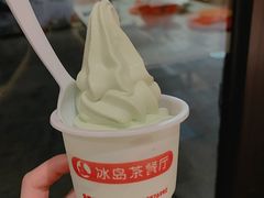 -冰岛茶餐厅(世茂店)