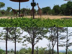 -济南野生动物世界