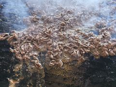 -聚德华天烤肉季·宴会厅(什刹海总店)