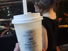 -一叶觅山(半边街店)