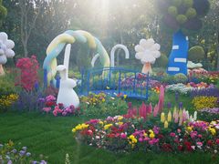 -上海共青森林公园