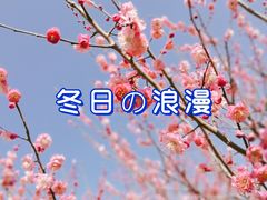 -大宁公园