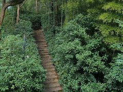 -天目湖涵田度假村
