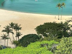 -明记烧鱼美味店