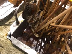 老徐涮肚-老徐烧烤涮肚(交道口店)