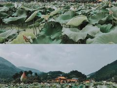 -小洞天柴火土菜馆