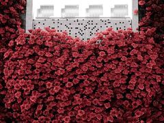 -东台西溪天仙缘景区