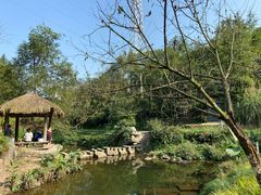 -重庆彩云湖湿地公园