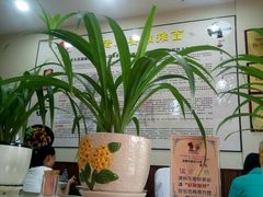 -秦云老太婆摊摊面(磁器口店)