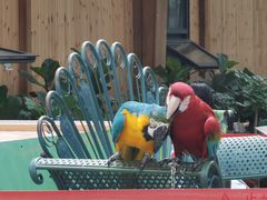 -南宫五洲植物乐园