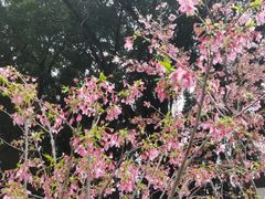 -乌山风景区