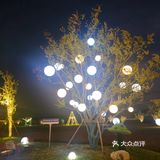 火锅美食探店日