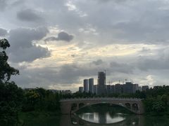 -三垟湿地