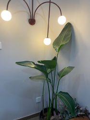 -轻妆Feel·半永久纹眉眼线