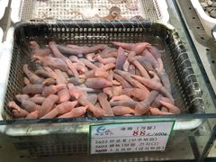 -海岛渔村大酒店(云霄路店)