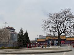 -莲花池公园