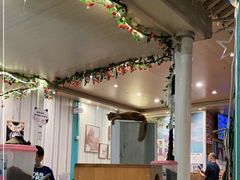 -猫小院猫主题咖啡厅(北锣店)