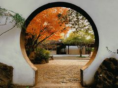 -上海醉白池公园