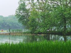 -茅家埠