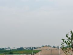 -空港花田景区
