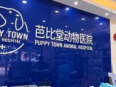 -芭比堂动物医院·24小时·眼科中心(深圳中心)